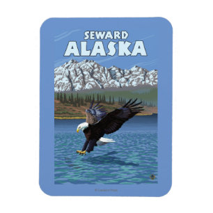 Weißkopfseeadler-Tauchen - Seward, Alaska Magnet