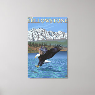 Weißkopfseeadler-Tauchen - WestYellowstone, M.Ü. Leinwanddruck