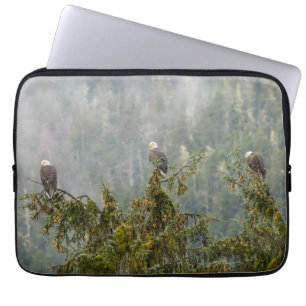 Weißkopfseeadler Tongass National Forest Alaska Laptopschutzhülle