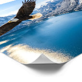 Weißkopfseeadler über Bergsee Mattposter Poster (Ecke)