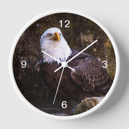 Weißkopfseeadler Uhr (Vorderseite)