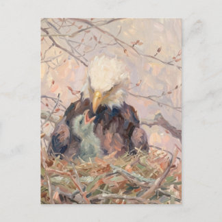 Weißkopfseeadler und Adlerjunge Naturkunst Individ Postkarte