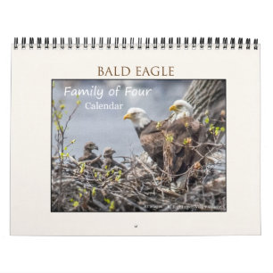 Weißkopfseeadler-vierköpfige Familie Kalender