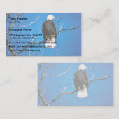 Weißkopfseeadler Visitenkarte (Vorne/Hinten)