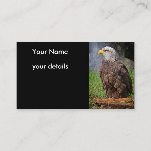 Weißkopfseeadler-Visitenkarten Visitenkarte (Vorderseite)