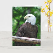 Weißkopfseeadler-Vogel-Gruß-Karte Karte (Gelbe Blume)