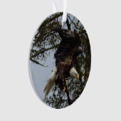 Weißkopfseeadler von Alaska USA Ornament (Vorderseite)