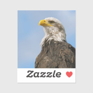 Weißkopfseeadler-Wildnis-Porträtkunst Aufkleber