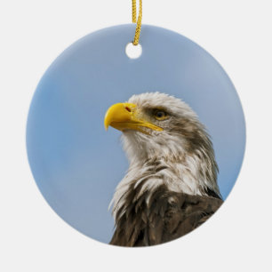 Weißkopfseeadler-Wildnis-Porträtkunst Keramikornament