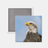 Weißkopfseeadler-Wildnis-Porträtkunst Magnet (Vorderseite/Rückseite)