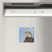 Weißkopfseeadler-Wildnis-Porträtkunst Magnet (In Situ (Geschirrspüler))