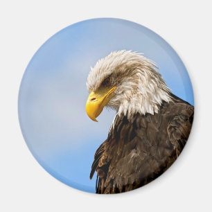 Weißkopfseeadler-Wildnis-Porträtkunst Magnet