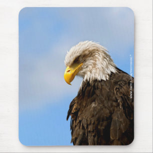 Weißkopfseeadler-Wildnis-Porträtkunst Mousepad