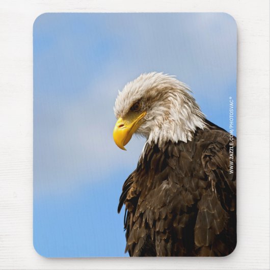Weißkopfseeadler-Wildnis-Porträtkunst Mousepad (Vorne)