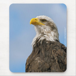 Weißkopfseeadler-Wildnis-Porträtkunst Mousepad