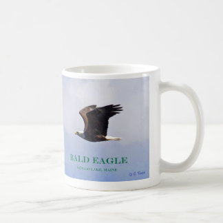 Weißkopfseeadlerbaby, -Eagle und -mamma im Flug Kaffeetasse