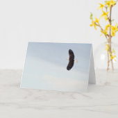 Weißkopfseeadlerfliegen Karte (Gelbe Blume)