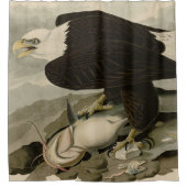 Weißkopfvögel (Bald-Adler) Audubon-Vögel aus Ameri Duschvorhang (Vorderseite)