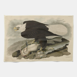 Weißkopfvögel (Bald-Adler) Audubon-Vögel aus Ameri Geschirrtuch