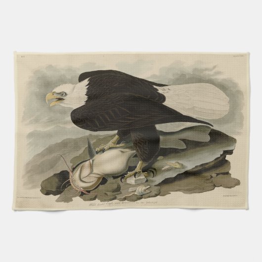 Weißkopfvögel (Bald-Adler) Audubon-Vögel aus Ameri Geschirrtuch (Horizontal)
