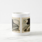Weißkopfvögel (Bald-Adler) Audubon-Vögel aus Ameri Kaffeetasse (Mittel)