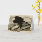 Weißkopfvögel (Bald-Adler) Audubon-Vögel aus Ameri Karte (Gelbe Blume)
