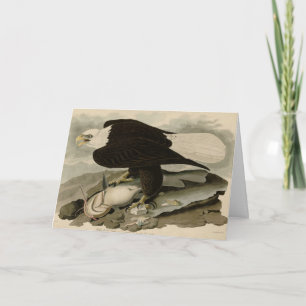 Weißkopfvögel (Bald-Adler) Audubon-Vögel aus Ameri Karte