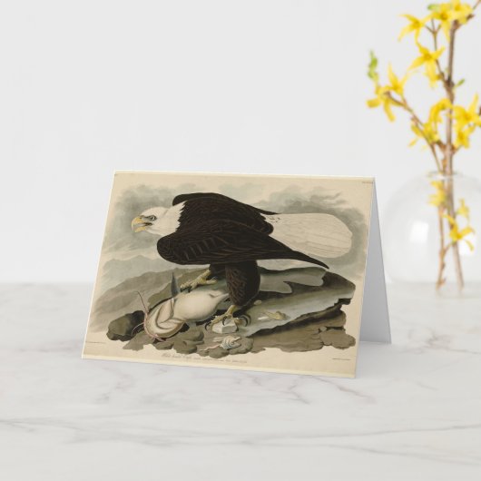 Weißkopfvögel (Bald-Adler) Audubon-Vögel aus Ameri Karte (Gelbe Blume)