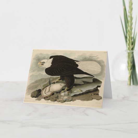 Weißkopfvögel (Bald-Adler) Audubon-Vögel aus Ameri Karte (Vorderseite)