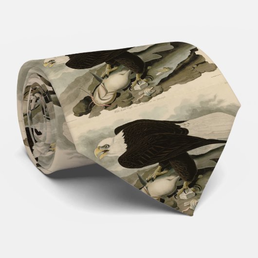 Weißkopfvögel (Bald-Adler) Audubon-Vögel aus Ameri Krawatte (Gerollt)