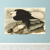 Weißkopfvögel (Bald-Adler) Audubon-Vögel aus Ameri Leinwanddruck (Insitu (Holzboden))