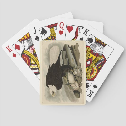 Weißkopfvögel (Bald-Adler) Audubon-Vögel aus Ameri Spielkarten (Rückseite)