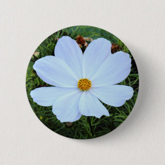 Weißkosmos Button