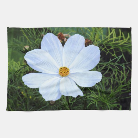 Weißkosmos Küchentuch (Horizontal)