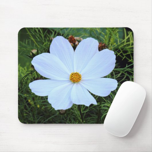 Weißkosmos Mousepad (Mit Mouse)