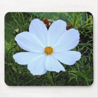 Weißkosmos Mousepad