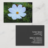 Weißkosmos Visitenkarte (Vorne/Hinten)