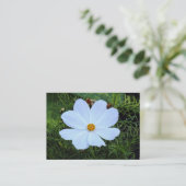 Weißkosmos Visitenkarte (Stehend Vorderseite)