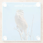 Weißkronenammer Glasuntersetzer (Rückseite)