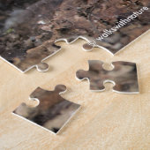 Weißkronenammer in der Wintersonne Puzzle (Seite)