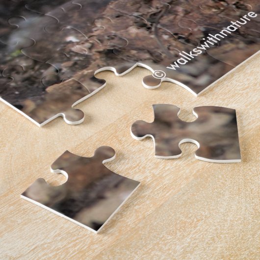 Weißkronenammer in der Wintersonne Puzzle (Seite)