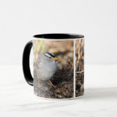 Weißkronenammer in der Wintersonne Tasse (Vorderseite Links)