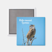 Weißkronenammer Magnet (Vorderseite/Rückseite)