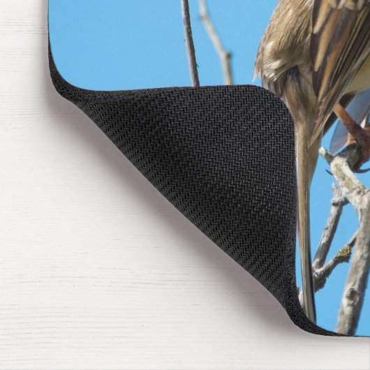 Weißkronenammer Mousepad (Ecke)