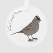 Weißkronenammer Ornament (Vorderseite)