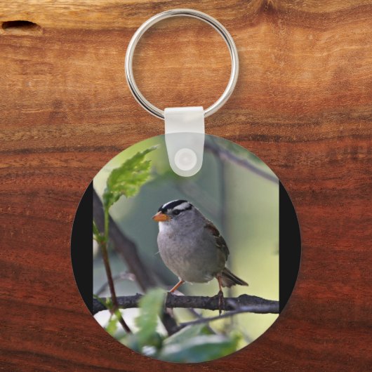 Weißkronenammer Schlüsselanhänger (Vorderseite)