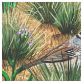 Weißkronenbrauenstoff Stoff (Nahaufnahme)