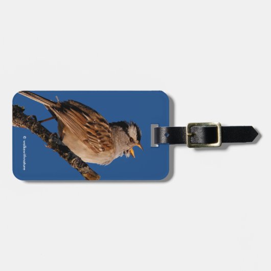 Weißkronenspangen an der Sonne Gepäckanhänger (Vorderseite horizontal)