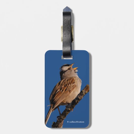 Weißkronenspangen an der Sonne Gepäckanhänger (Rückseite vertikal)