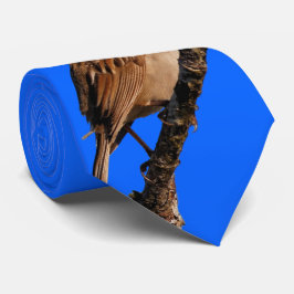 Weißkronenspangen an der Sonne Krawatte